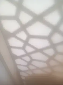 bullut06 online show from February 2026 11:38:02 AM