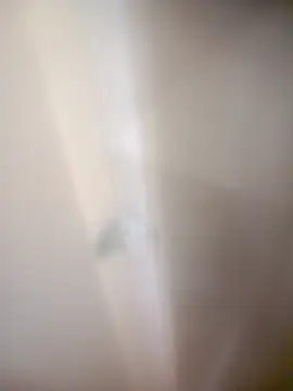 bullut06 online show from February 2026 09:32:01 AM