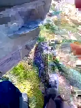 bullut06 online show from March 2026 12:41:01 PM