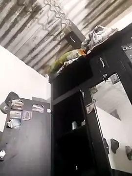 amelie sex online show from March 2026 04:14:01 PM