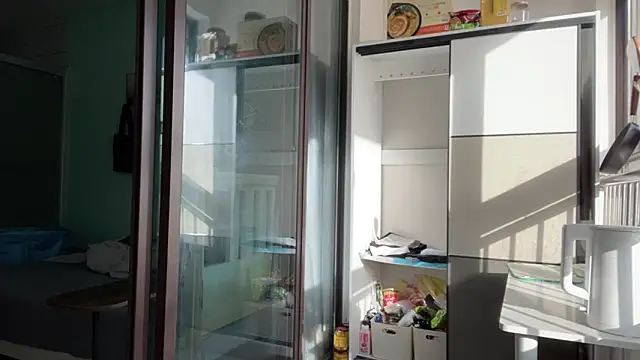 cily online show from November 2025 12:54:02 AM