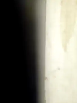 Sonalihot  online show from March 2026 01:46:02 PM