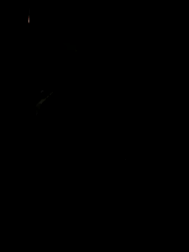 koukou322 online show from November 2025 10:06:02 AM