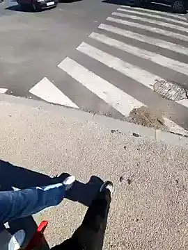 HitShelf online show from January 2026 11:15:02 AM