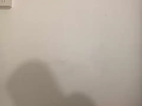 woodwork25 online show from April 2026 06:55:01 PM