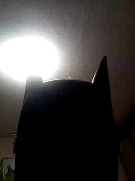 Snapshot of AmandaXXX98 chatting on November 2025 02:56:01 PM AmandaXXX98 online show from November 2025 02:56:01 PM