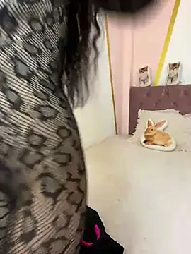  Amatista Fire online show from February 2026 01:47:01 PM