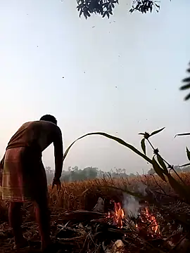 Snapshot of Johlrd chatting on November 2025 12:54:02 AM Johlrd online show from November 2025 12:54:02 AM