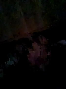 onao7 online show from April 2026 03:04:01 AM