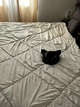 LesAmantsAE2 online show from October 2025 08:13:01 AM