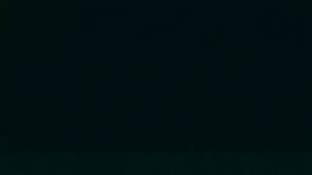 LeeCox online show from December 2024 09:33:02 AM