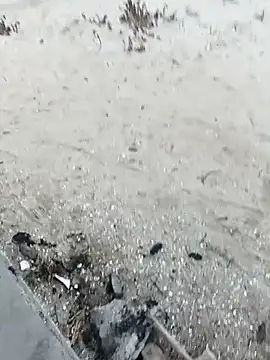 pegaso369 online show from October 2025 03:36:01 PM