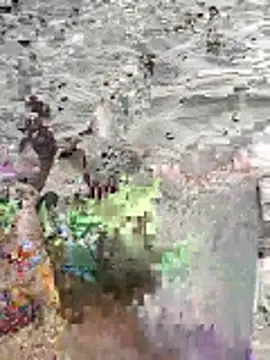 Snapshot of pegaso369 chatting on June 2026 02:52:01 PM pegaso369 online show from June 2026 02:52:01 PM