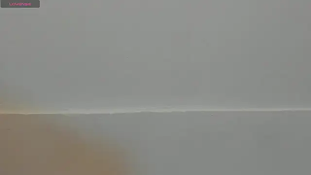 VioletRose as online show from February 2026 08:03:02 PM