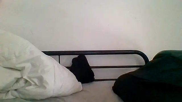 Snapshot of _she_was_a_fairy chatting on December 2025 01:49:02 PM she was a fairy online show from December 2025 01:49:02 PM