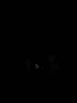 Snapshot of philefc chatting on November 2025 07:42:02 AM philefc online show from November 2025 07:42:02 AM