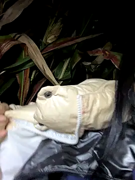 Snapshot of qqxgjj chatting on September 2025 02:54:01 PM qqxgjj online show from September 2025 02:54:01 PM