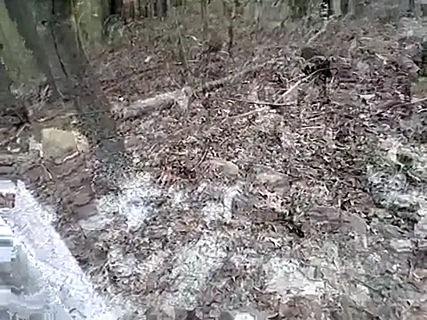 Snapshot of fischnet chatting on September 2025 10:55:02 PM fischnet online show from September 2025 10:55:02 PM