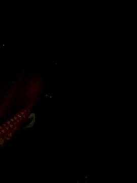 Sonam pandeyji online show from December 2025 03:06:01 PM