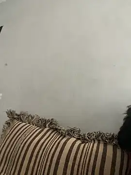 Snapshot of NoddingScorpion chatting on November 2025 08:35:02 AM NoddingScorpion online show from November 2025 08:35:02 AM