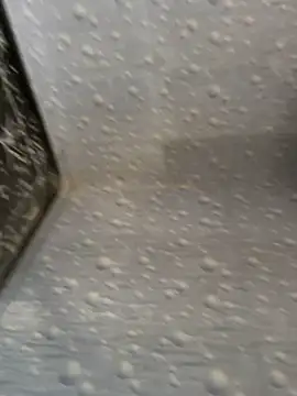 Snapshot of NoddingScorpion chatting on November 2025 08:58:01 AM NoddingScorpion online show from November 2025 08:58:01 AM