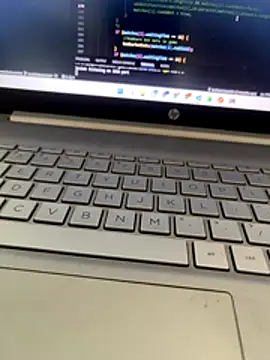 Snapshot of NoddingScorpion chatting on November 2025 10:07:01 AM NoddingScorpion online show from November 2025 10:07:01 AM