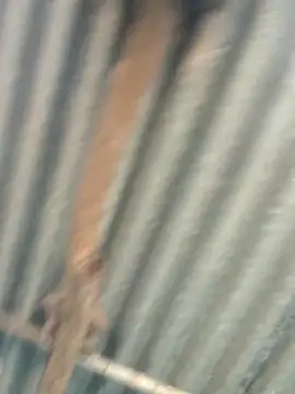 Hot-ilaiy online show from September 2025 02:33:02 AM