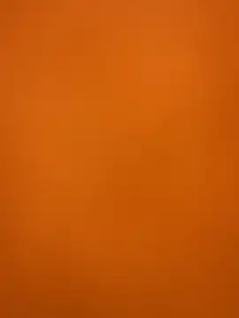 XanderOzzz online show from December 2025 08:37:02 PM