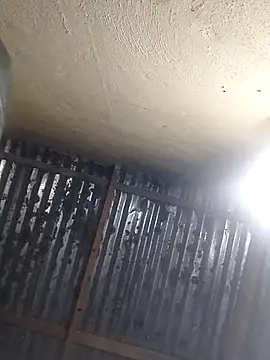 shebeshid online show from April 2026 05:07:02 PM