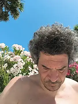 twitshe online show from June 2026 12:31:01 PM