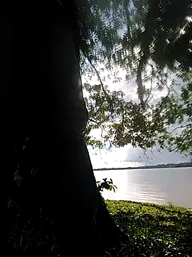 Snapshot of delesteli chatting on November 2025 08:33:02 PM delesteli online show from November 2025 08:33:02 PM