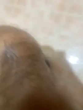 Binuthomas online show from November 2025 05:01:02 PM