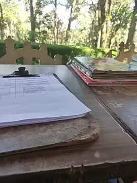 Snapshot of BasicGoal96 chatting on November 2025 08:14:01 AM BasicGoal96 online show from November 2025 08:14:01 AM