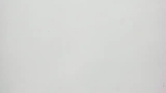 Saammy 17 online show from September 2025 08:21:02 PM