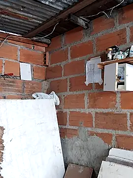 hoteder online show from December 2025 12:56:01 PM