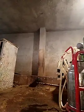 ezgi2545 online show from February 2026 03:10:01 PM