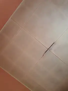 Snapshot of Karamelsaus chatting on October 2025 05:54:02 PM Karamelsaus online show from October 2025 05:54:02 PM