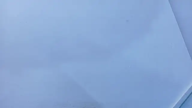 Lizbeth Rouse online show from November 2025 11:19:01 AM