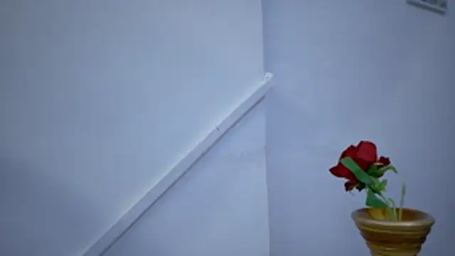 Lizbeth Rouse online show from November 2025 11:29:01 AM