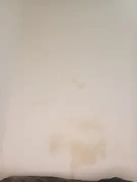 AngelaZamera online show from February 2026 12:08:01 PM