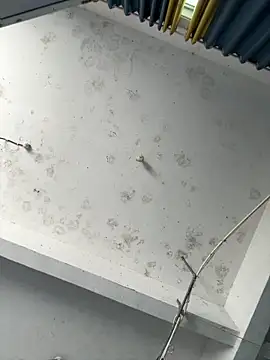 Snapshot of coco-o chatting on September 2025 03:10:01 AM coco-o online show from September 2025 03:10:01 AM