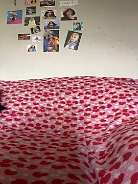 playfulcharmer online show from November 2025 01:13:01 PM