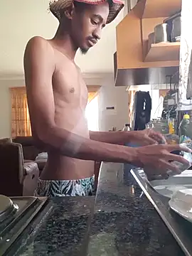 gemini loops online show from February 2026 09:25:02 AM