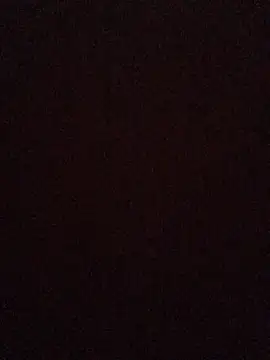 Snapshot of broskies777 chatting on September 2025 10:48:01 AM broskies777 online show from September 2025 10:48:01 AM