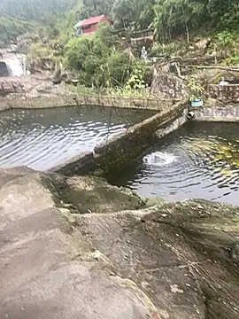 Snapshot of PhanHaa chatting on November 2025 09:30:01 AM PhanHaa online show from November 2025 09:30:01 AM