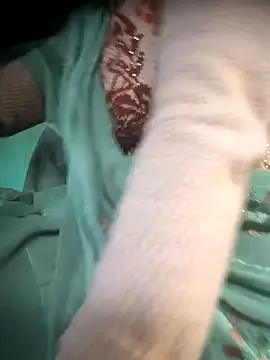 cut renukadevi online show from December 2025 01:55:02 AM