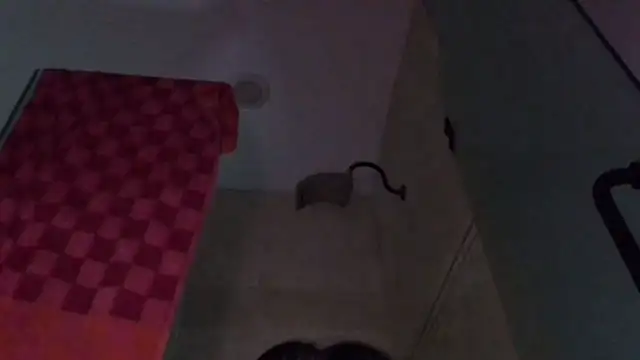 TallDrink11 online show from September 2025 10:25:01 PM