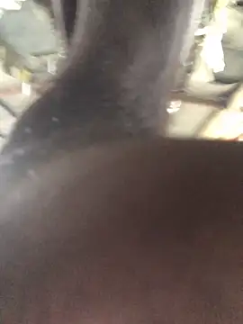 kavi1q1 online show from November 2025 01:07:02 AM