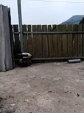 linda bae00 online show from January 2026 12:26:01 AM