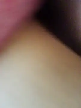 Hl1979 online show from March 2026 11:42:01 PM